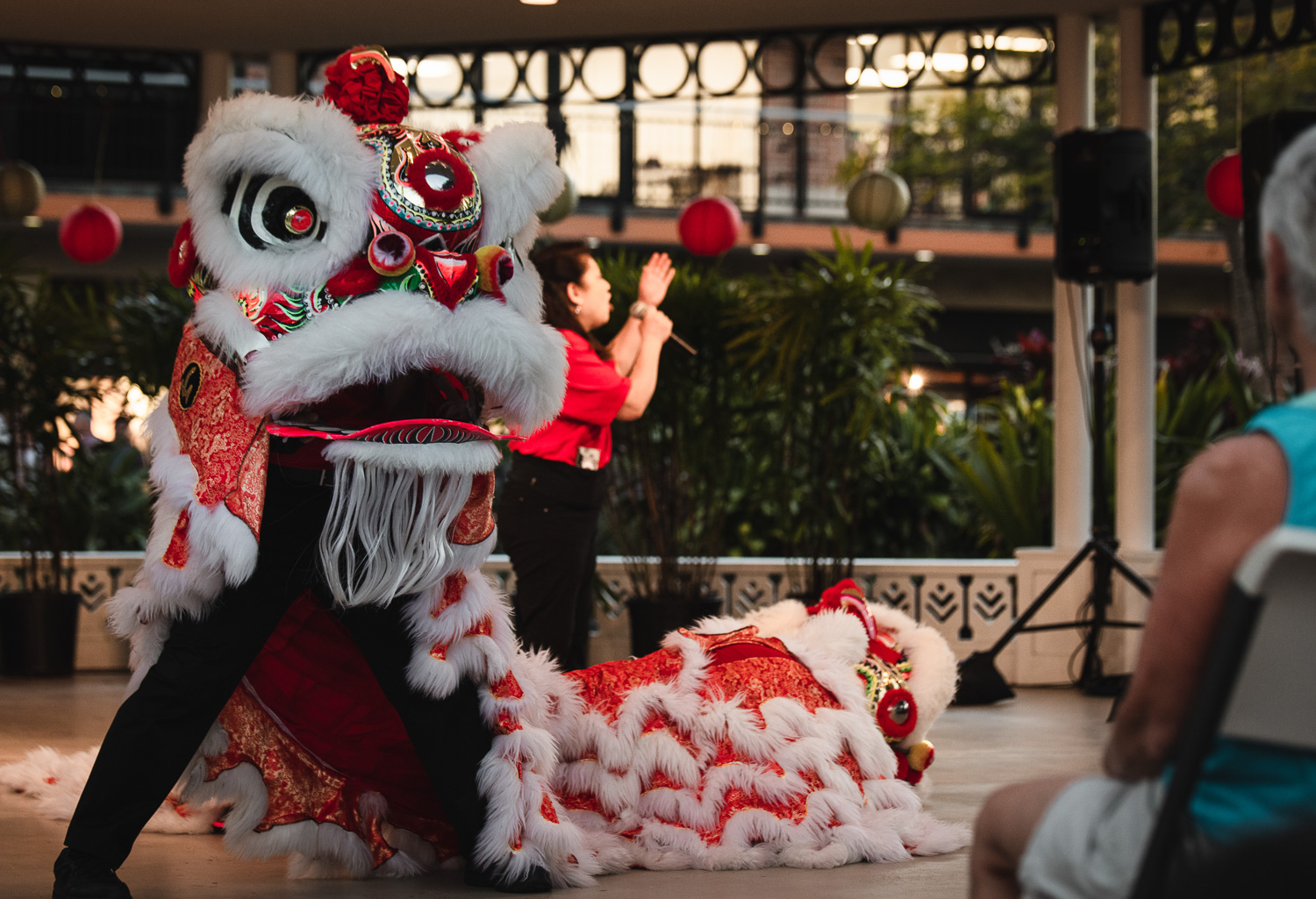 Asian Fest